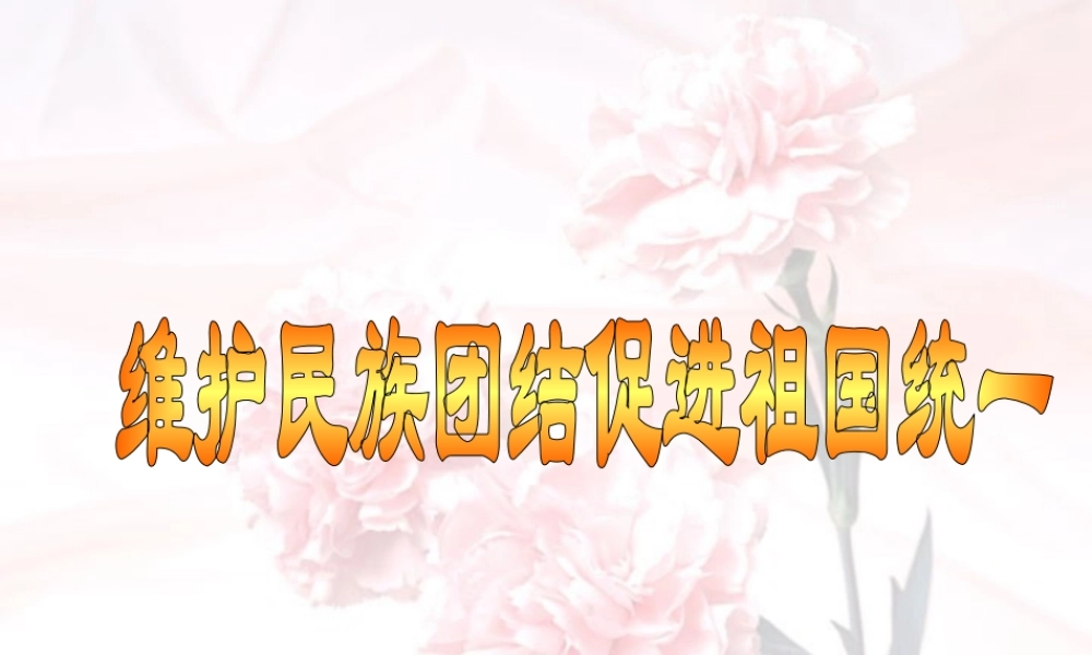 九年级政治复习课件 民族团结 祖国统一 人教版 课件
