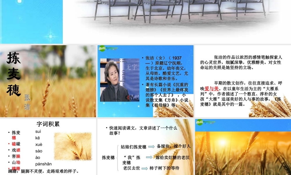 七年级语文上册(拣麦穗)精品课件 冀教版 课件