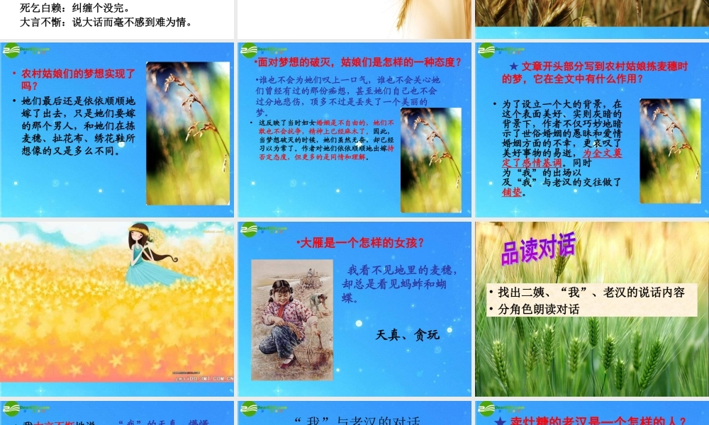 七年级语文上册(拣麦穗)精品课件 冀教版 课件