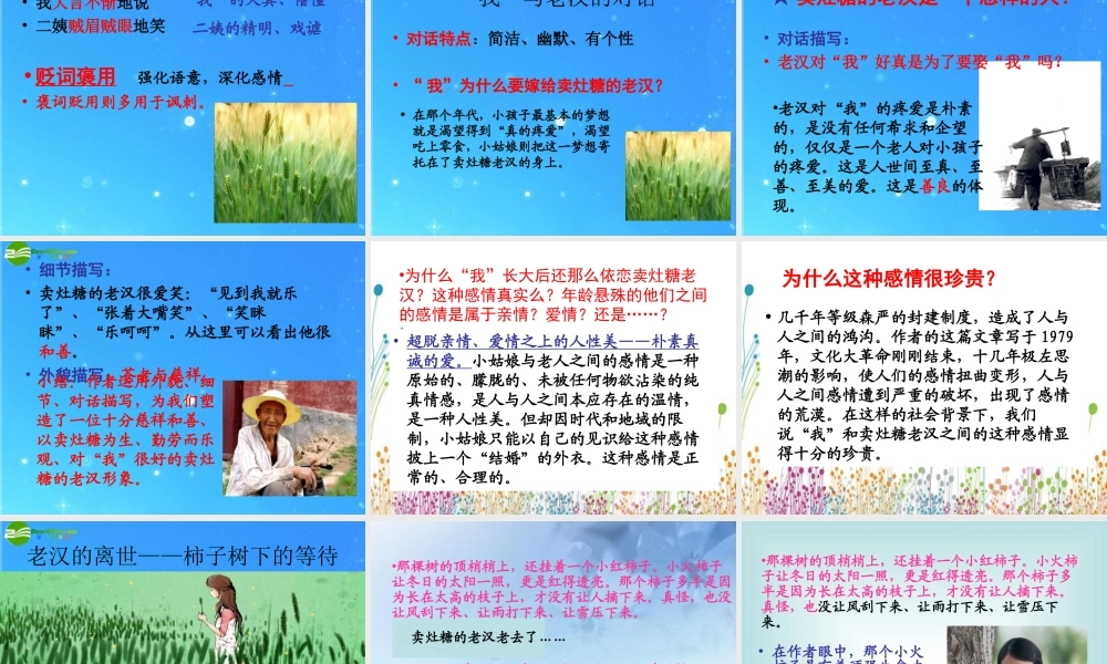 七年级语文上册(拣麦穗)精品课件 冀教版 课件