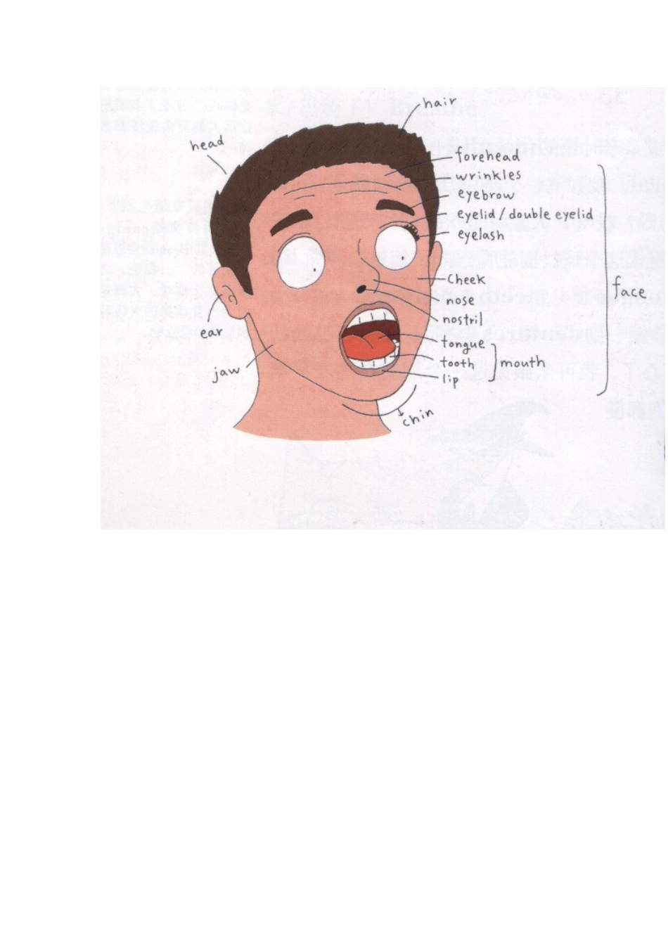 很好的teachingmaterial_第2页