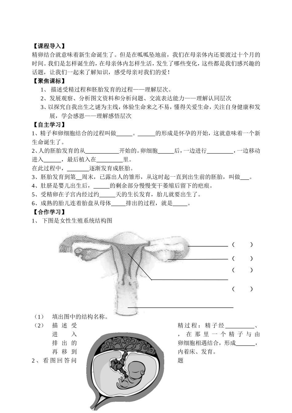 18.1人体的生殖(2课时)_第3页