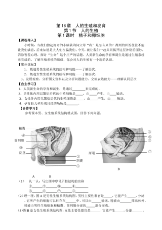 18.1人体的生殖(2课时)