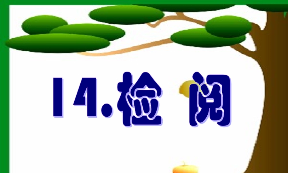 检阅PPT课件