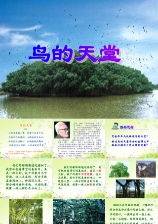 人教版四年级语文上册《鸟的天堂》PPT课件