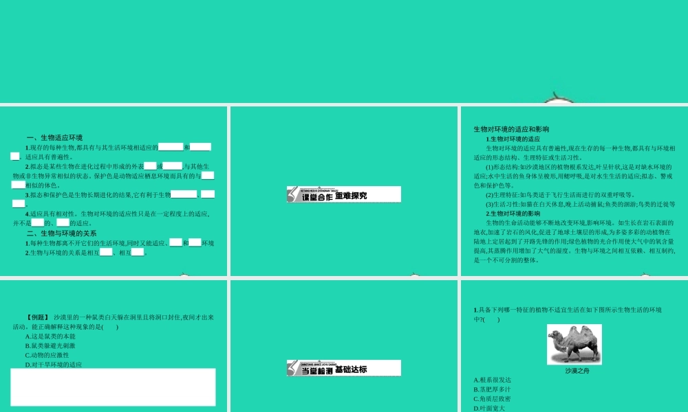 八年级生物下册 7.1.2 生物对环境的适应和影响课件 (新版)冀教版 课件