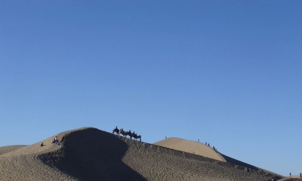 七年级语文下册《第22课_在沙漠中心》课件_新人教版