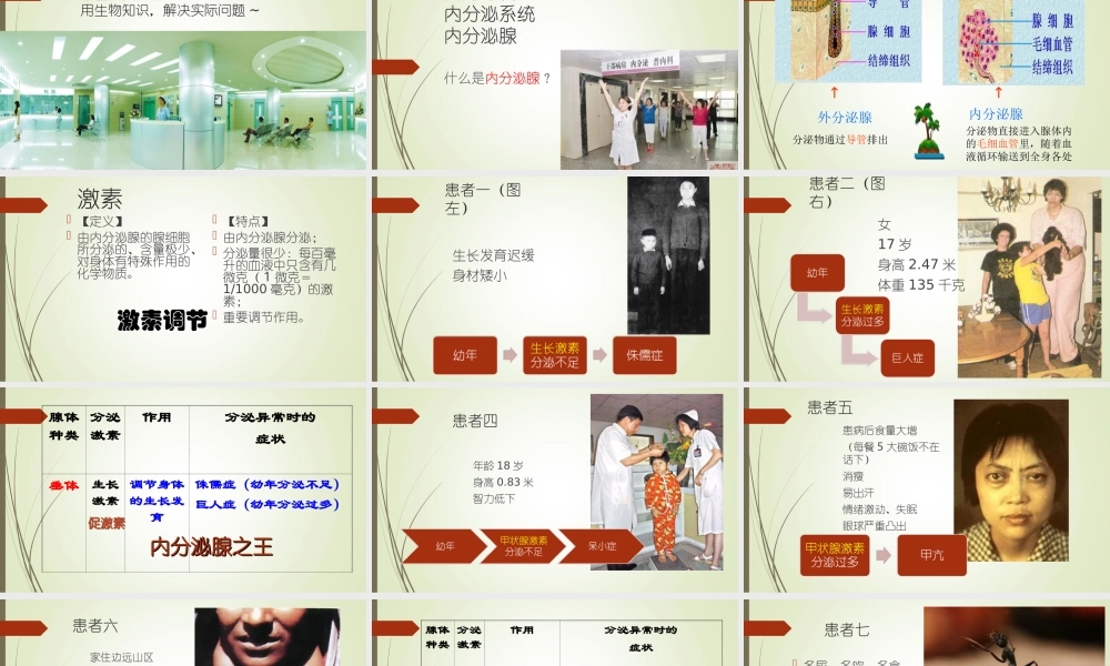 科学家的故事-王应睐组织我国科学家率先合成结晶牛胰岛素-(2)