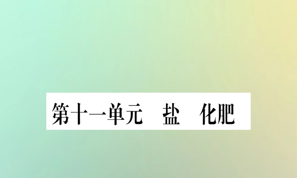 中考化学准点备考复习 第一部分 教材系统复习 第11讲 盐 化肥复习作业课件 新人教版 课件