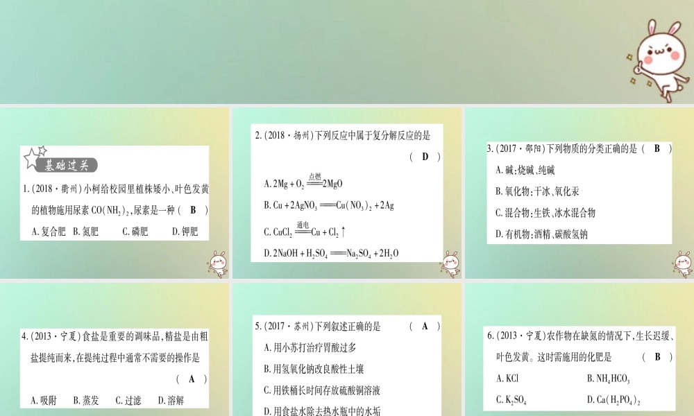 中考化学准点备考复习 第一部分 教材系统复习 第11讲 盐 化肥复习作业课件 新人教版 课件