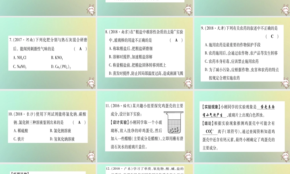 中考化学准点备考复习 第一部分 教材系统复习 第11讲 盐 化肥复习作业课件 新人教版 课件