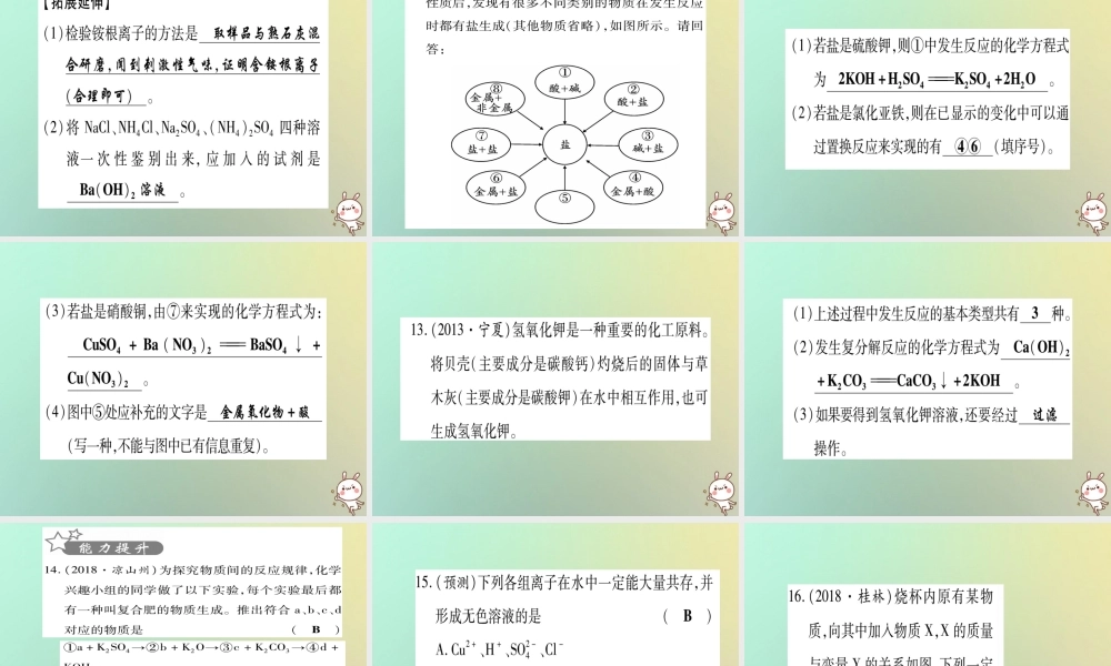 中考化学准点备考复习 第一部分 教材系统复习 第11讲 盐 化肥复习作业课件 新人教版 课件