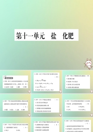 中考化学准点备考复习 第一部分 教材系统复习 第11讲 盐 化肥复习作业课件 新人教版 课件