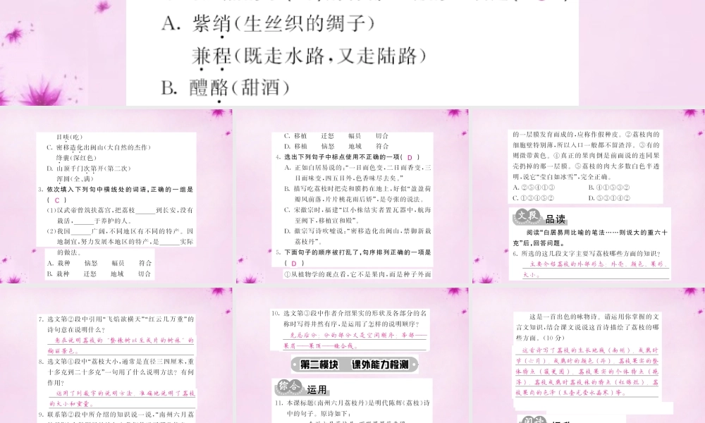 九年级语文下册 18 南州六月荔枝丹课件 语文版 课件