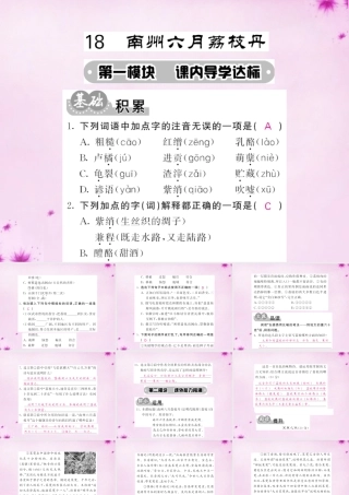 九年级语文下册 18 南州六月荔枝丹课件 语文版 课件