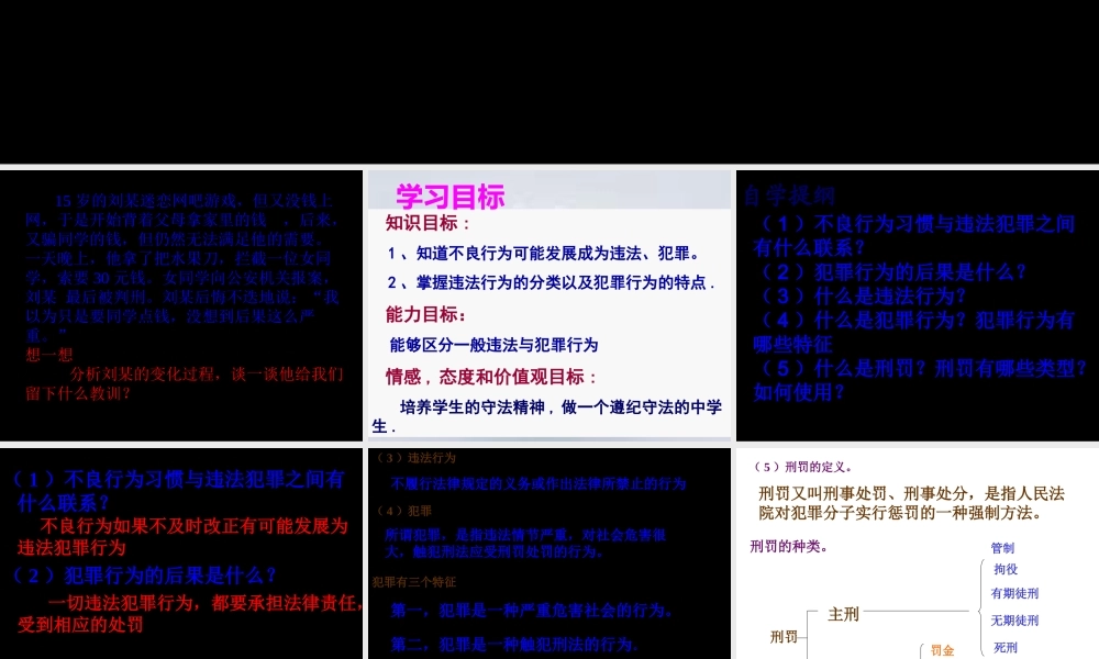 八年级政治下册 犯罪与刑罚课件 北师大版 课件