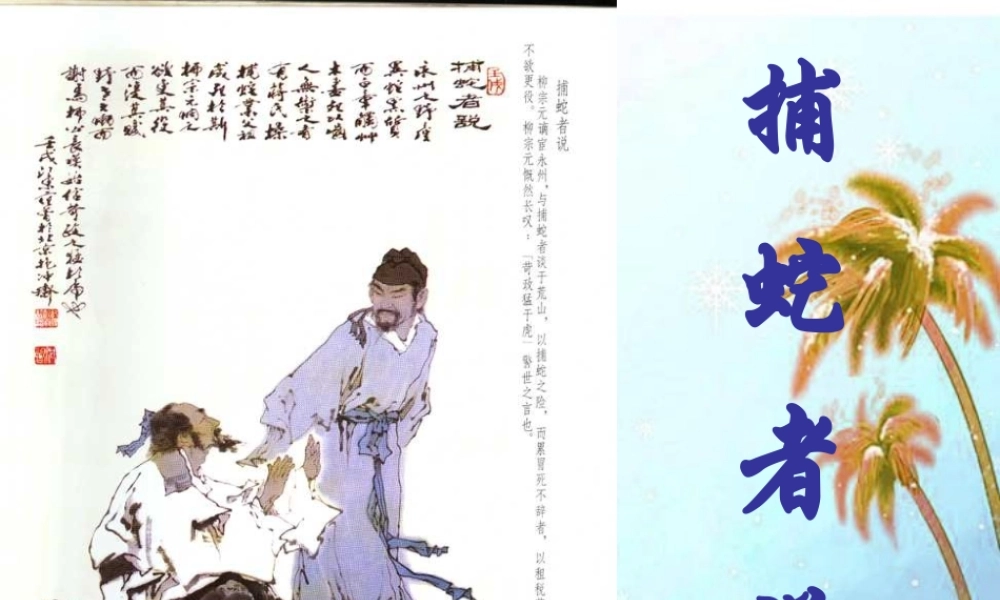九年级语文上册 第五单元第19课(捕蛇者说)课件 苏教版 课件
