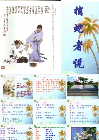 九年级语文上册 第五单元第19课(捕蛇者说)课件 苏教版 课件