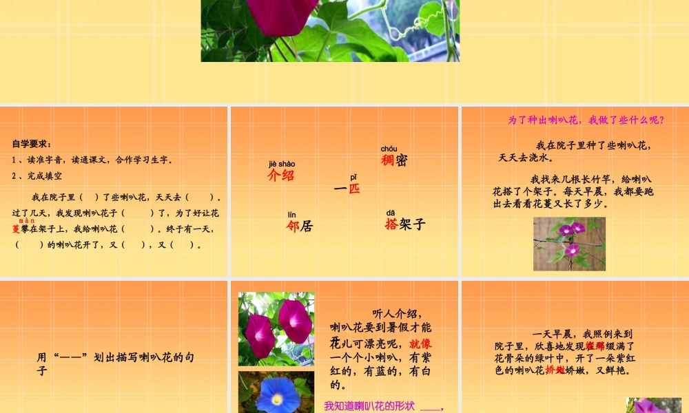 小学语文二年级课件-喇叭花-沪教版