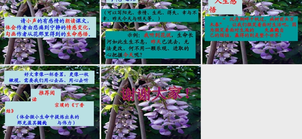 八年级语文上册 (紫藤萝瀑布)课件 河大版 课件