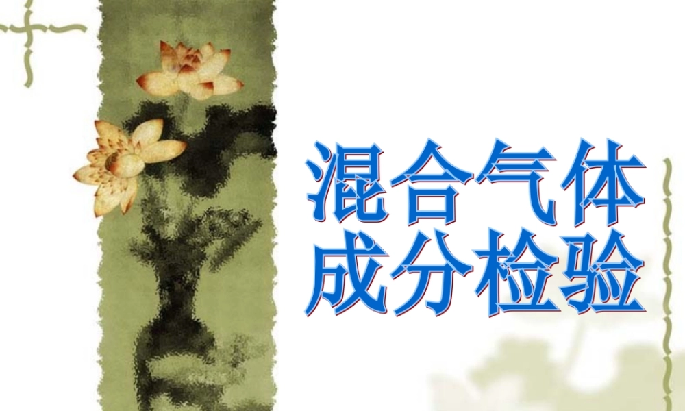 人教版初三化学混合气体成分检验 课件