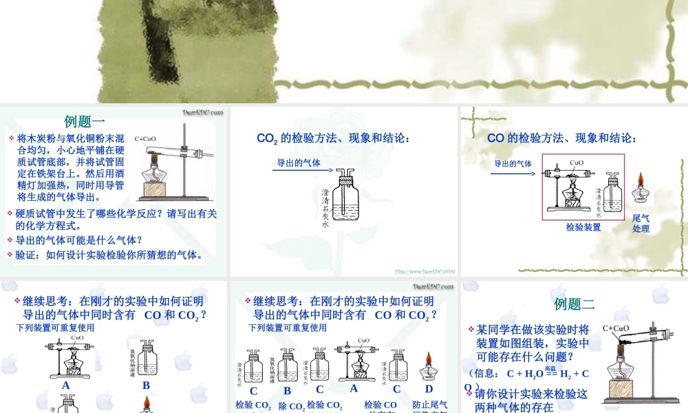 人教版初三化学混合气体成分检验 课件
