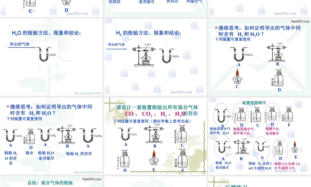 人教版初三化学混合气体成分检验 课件