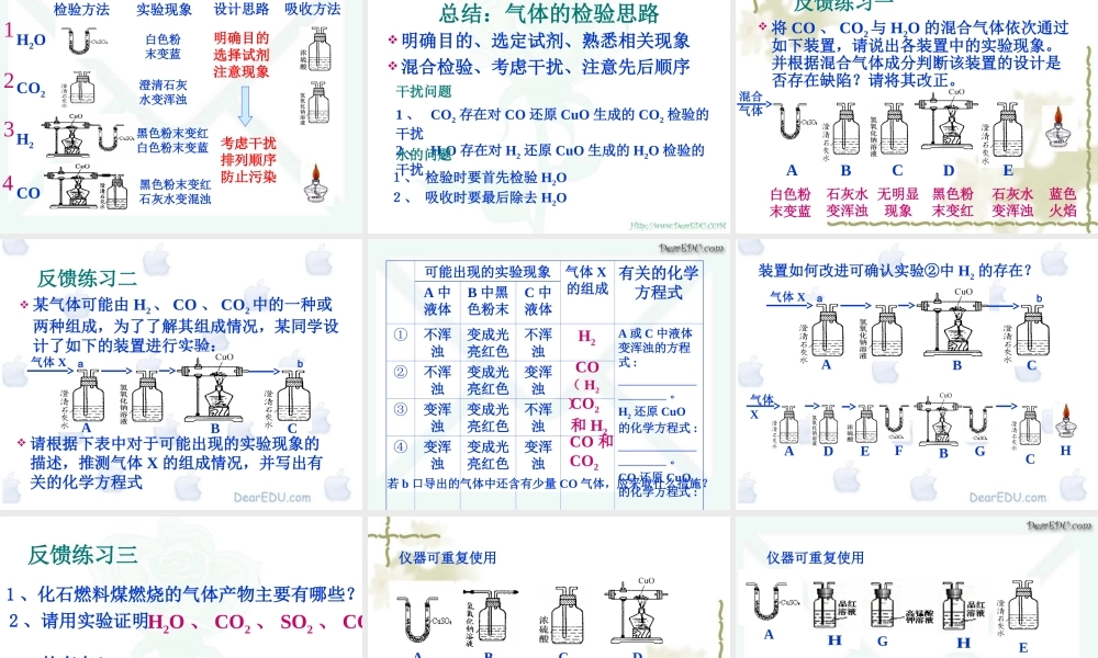 人教版初三化学混合气体成分检验 课件