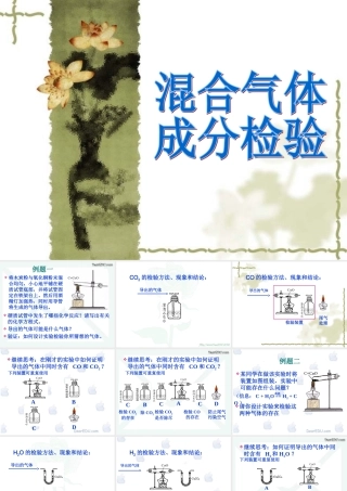 人教版初三化学混合气体成分检验 课件