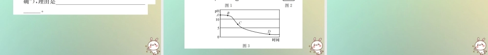 中考化学复习 题型复习(四)实验探究题 题型之六 其他探究课件