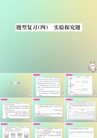 中考化学复习 题型复习(四)实验探究题 题型之六 其他探究课件