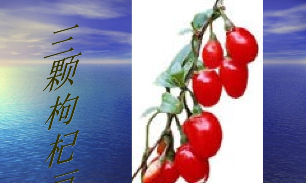 《三颗枸杞豆》