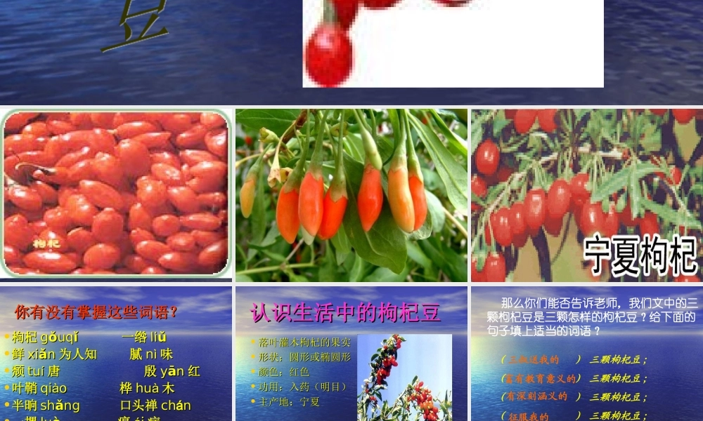 《三颗枸杞豆》