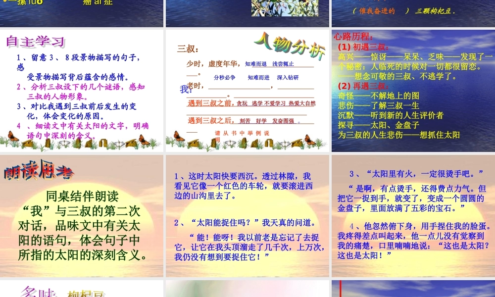 《三颗枸杞豆》