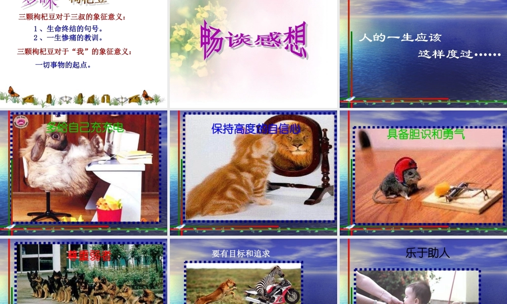 《三颗枸杞豆》