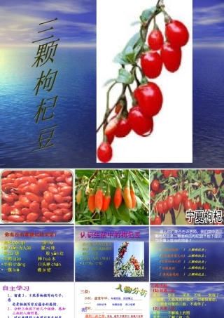 《三颗枸杞豆》