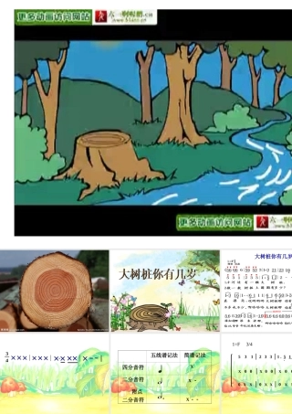 大树桩你有几岁1