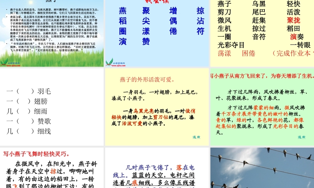 燕子PPT课件上课
