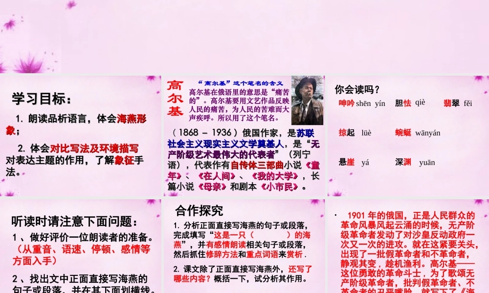 八年级语文下册 2.9 海燕课件 新人教版 课件