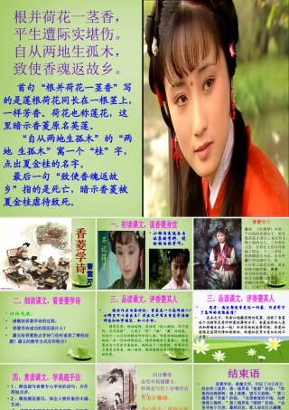 九年级语文上册 菱学诗课件 新人教版 课件