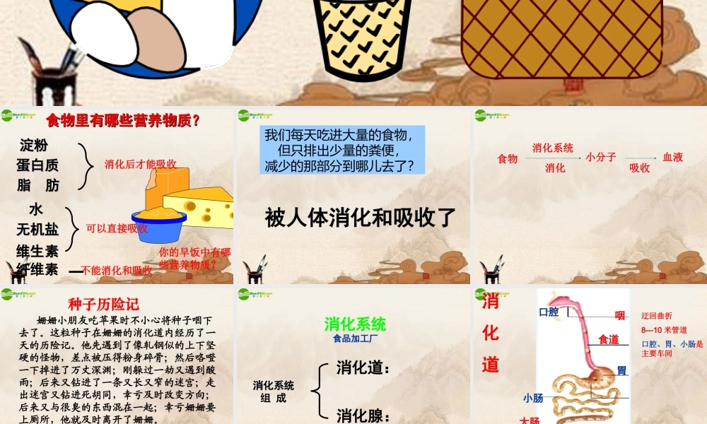 八年级科学上册 食物的消化和吸收课件 华师大版 课件