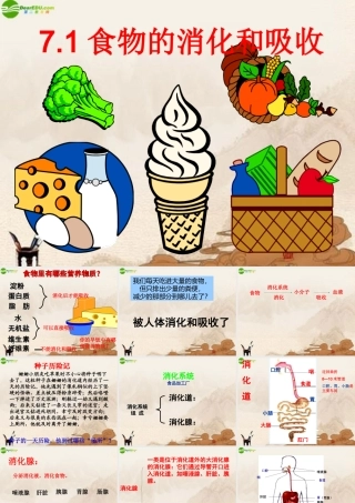 八年级科学上册 食物的消化和吸收课件 华师大版 课件