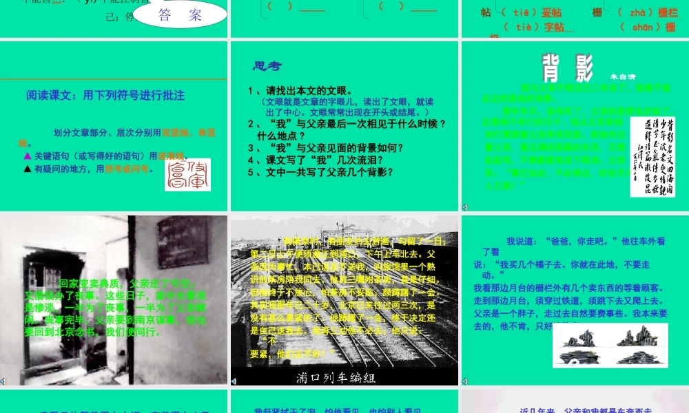 八年级语文背影课件2 新课标 人教版 课件