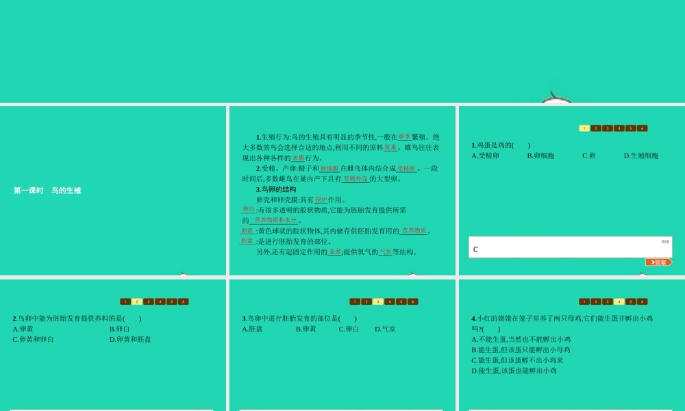 八年级生物上册 第四单元 第二章 第三节 鸟的生殖和发育(第1课时 鸟的生殖)课件 (新版)济南版 课件
