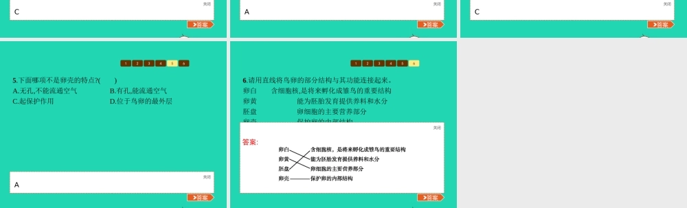 八年级生物上册 第四单元 第二章 第三节 鸟的生殖和发育(第1课时 鸟的生殖)课件 (新版)济南版 课件