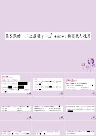 九年级数学下册 第1章 二次函数 12 二次函数的图象与性质 第5课时 作业课件 (新版)湘教版 课件
