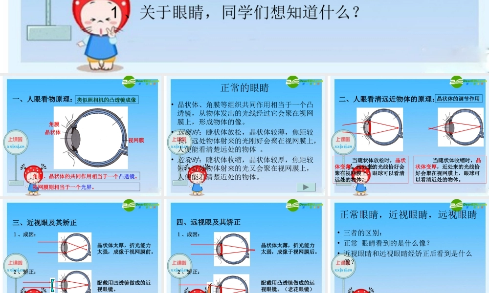 八年级物理 四、眼睛和眼镜课件 人教版 课件