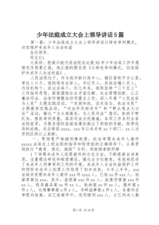 少年法庭成立大会上领导讲话5篇