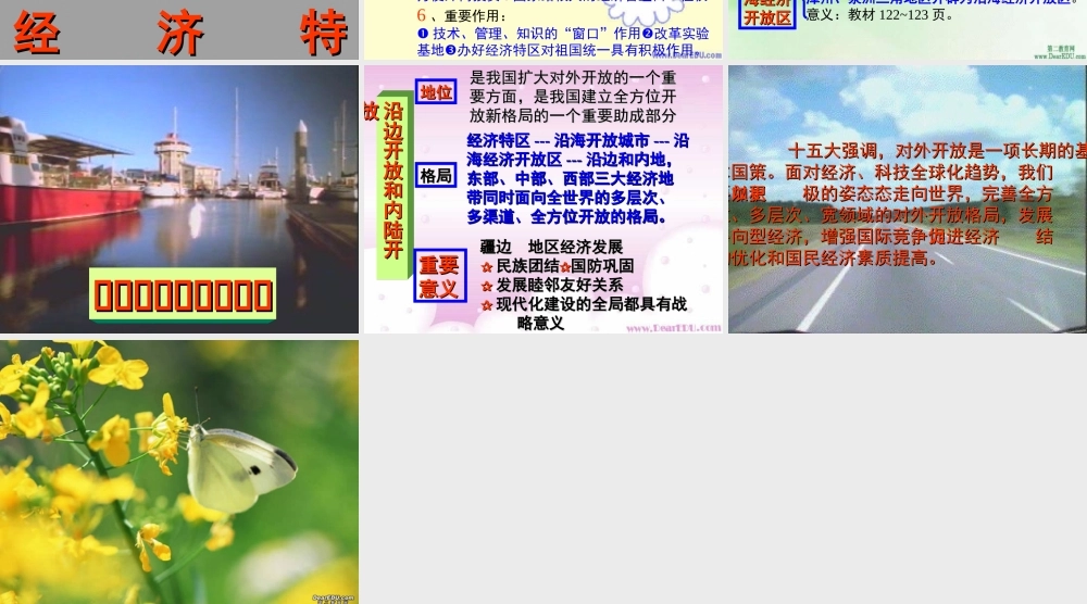 九年级政治对外开放的基本国策 课件示例一 课件