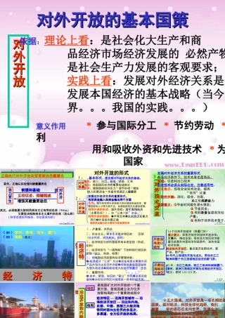九年级政治对外开放的基本国策 课件示例一 课件